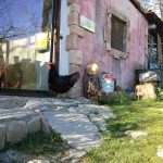 Financiación internacionalización proyectos Seed Capital Bizkaia