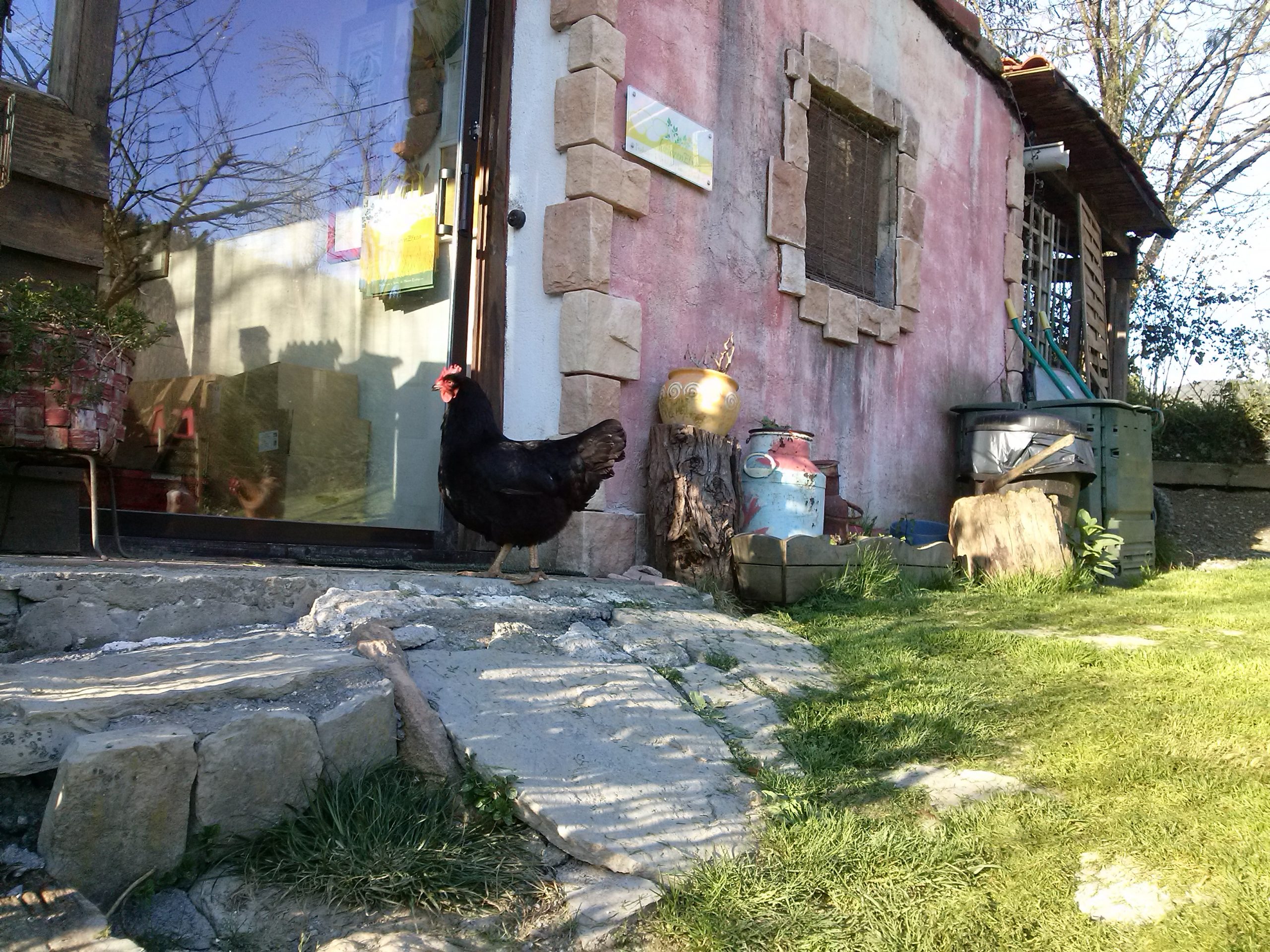 Financiación internacionalización proyectos Seed Capital Bizkaia