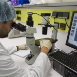 Financiacion Biofarmaceuticas Seed Capital Bizkaia