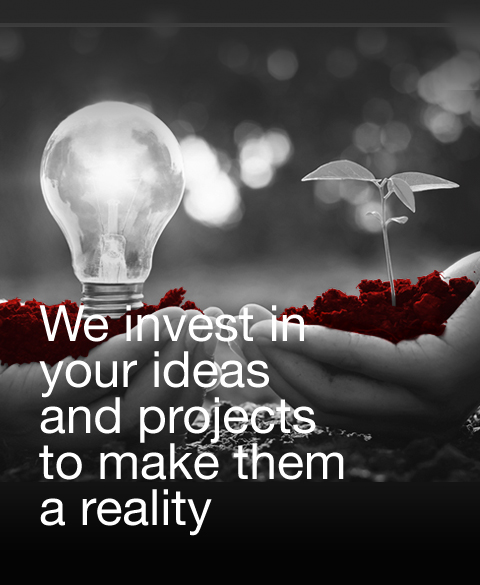 EN 1 Seed Capital Bizkaia fund promotion innovation business fund i fund bi feis crowdfunding microcredit bilbao