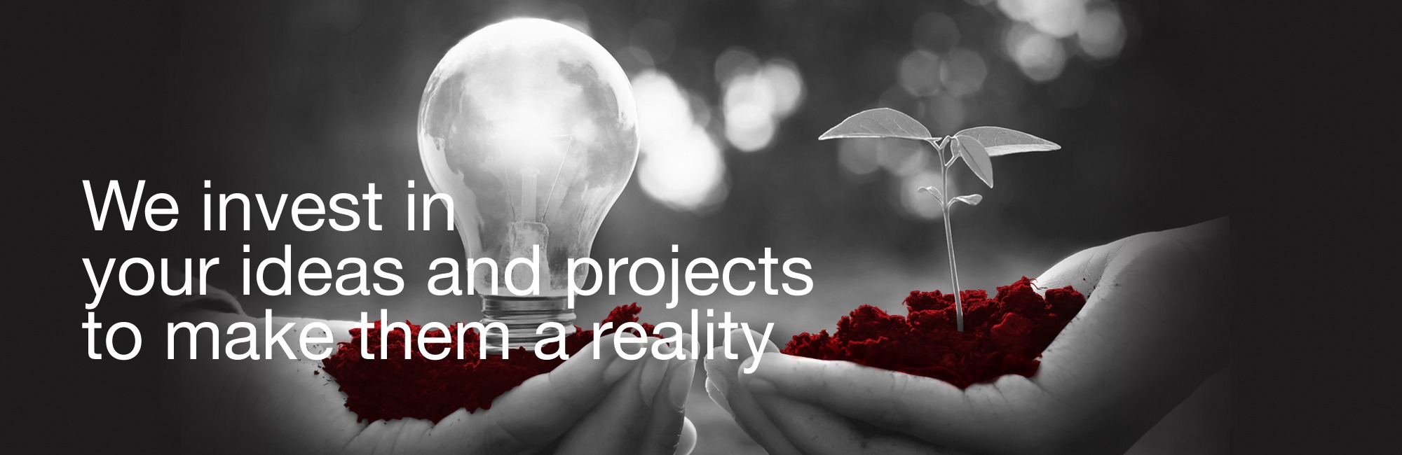 EN 1 Seed Capital Bizkaia fund promotion innovation business fund i fund bi feis crowdfunding microcredit