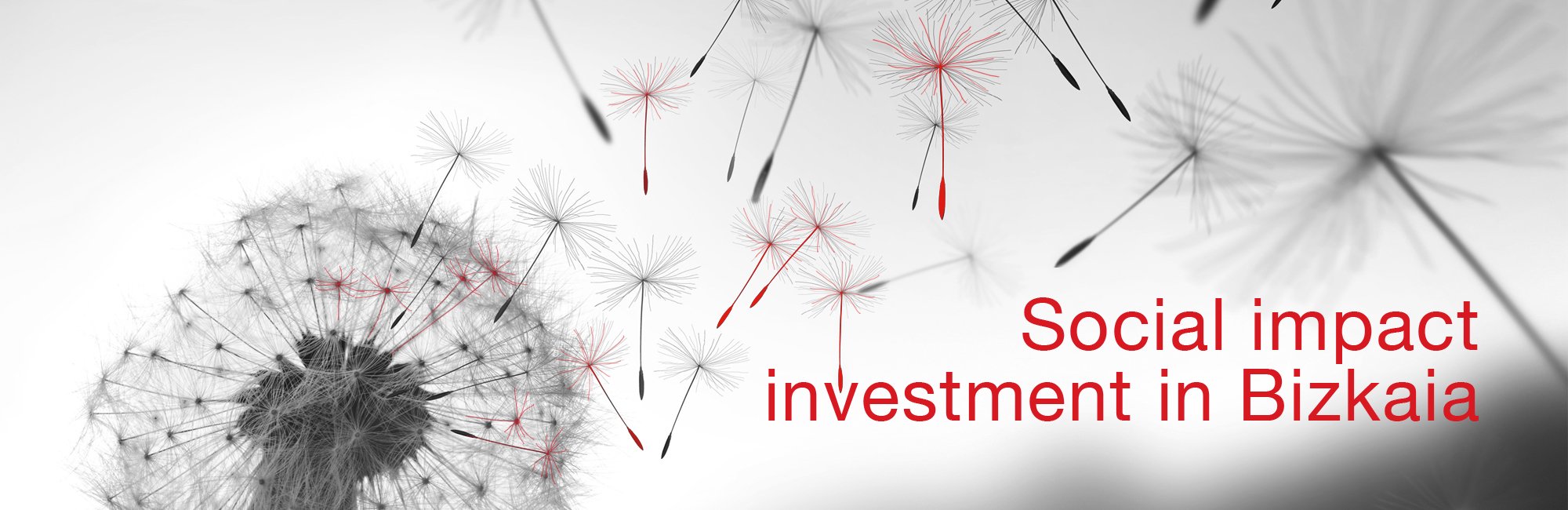 EN 2 Seed Capital Bizkaia fund promotion innovation business fund i fund bi feis crowdfunding microcredit