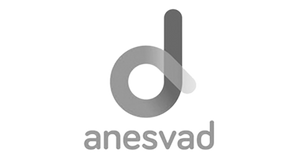 Anesvad Participe FEIS Fondo Emprendimiento Impacto Social PYME