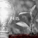 FEIS