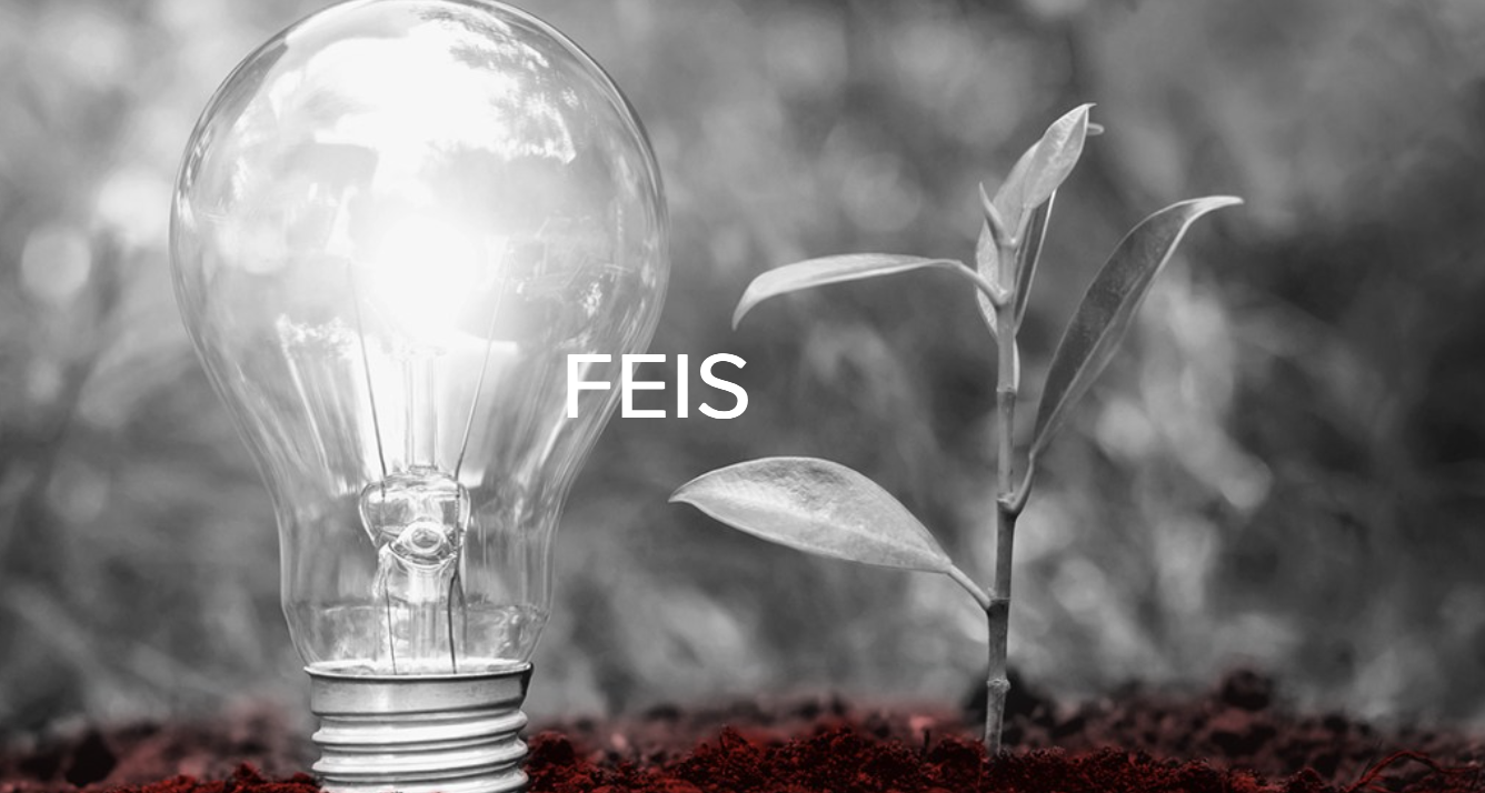 FEIS
